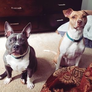 Meet your Posher, Malcolm